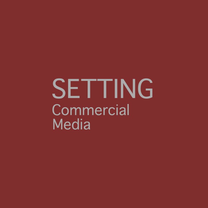 Commercial Media Setting