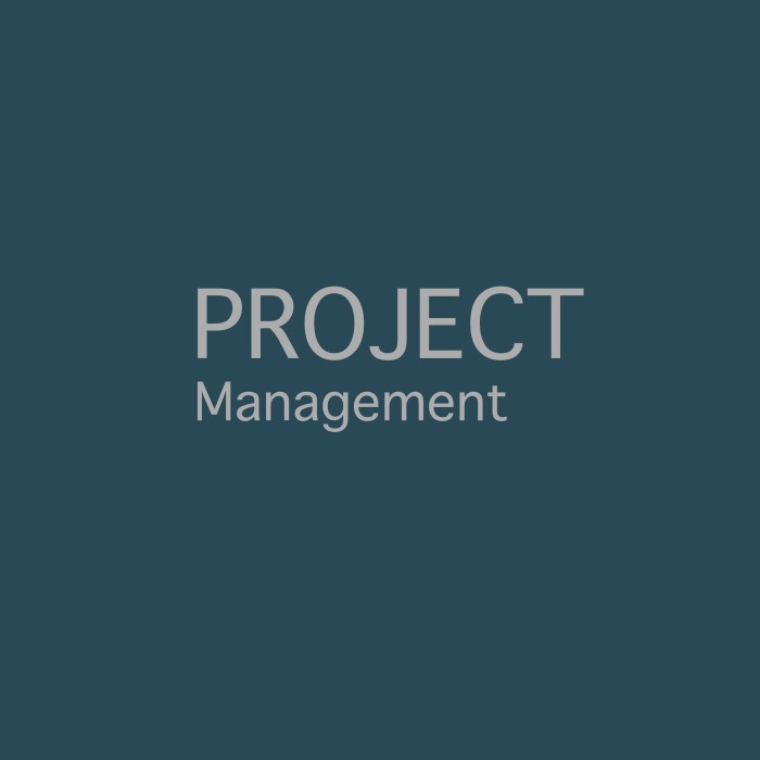 Project Management
